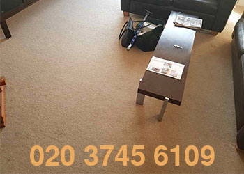 carpet cleaning