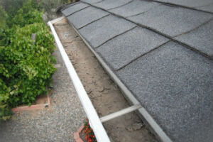 gutter-cleaning-services